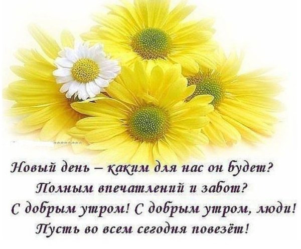 Открытки радость нового дня