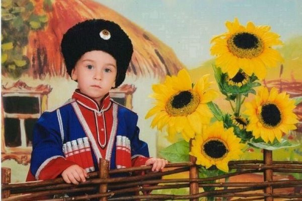 Казаки Подсолнухи