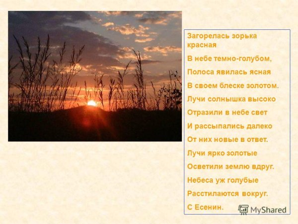 Стих Есенина загорелась Зорька красная