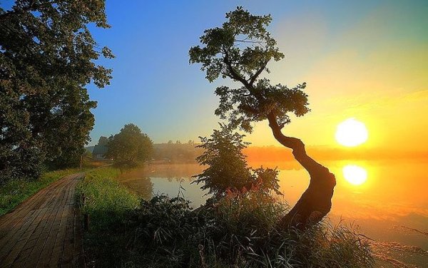 Сергей Есенин Восход солнца