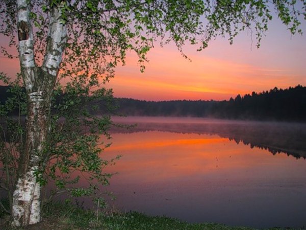 Есенина «Выткался на озере алый свет зари…»