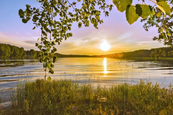 Стих о вечерней природе