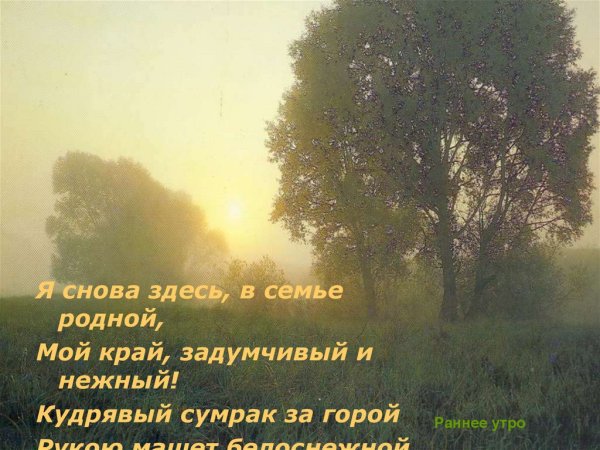 Солнечное утро