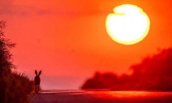 Мирного неба над головой