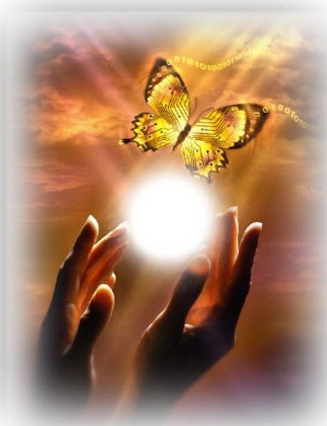 Счастье в ладошках