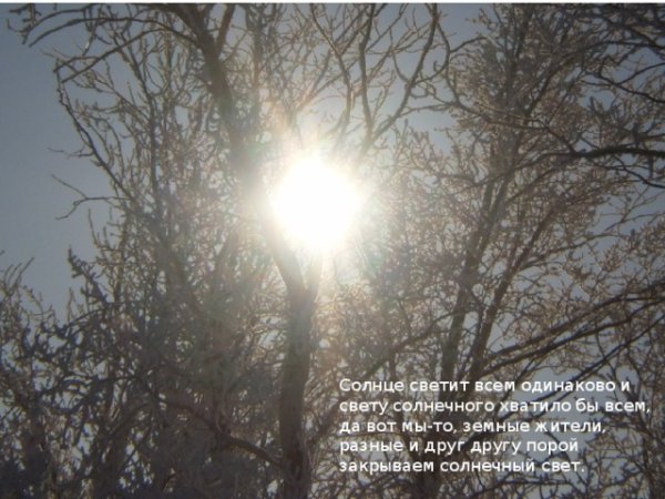 Солнце светит всем