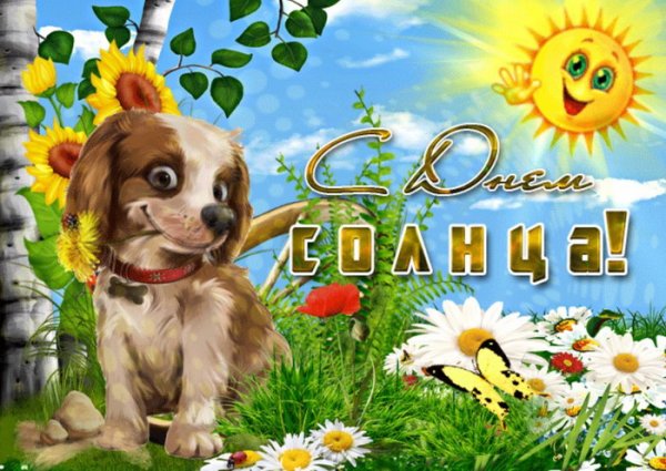 День солнца открытки