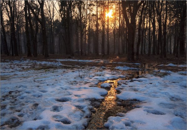 Весна ручьи