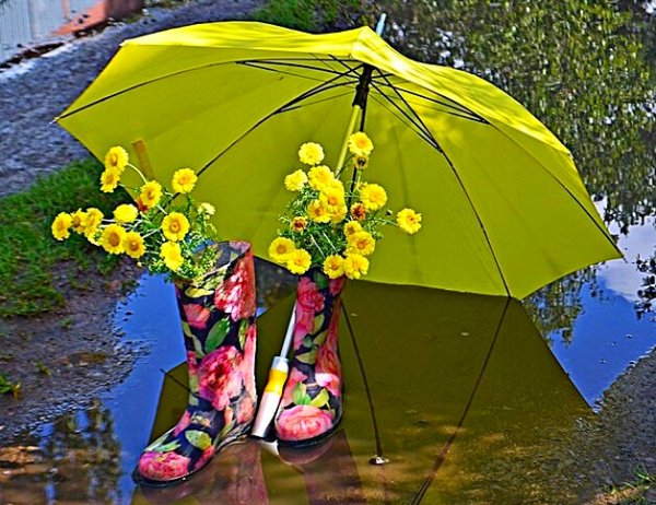 Поздравления с добрым дождливым утром