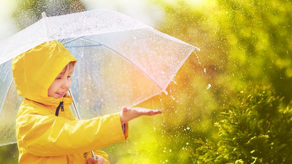 Раз Ромашка два Ромашка Медвежонок