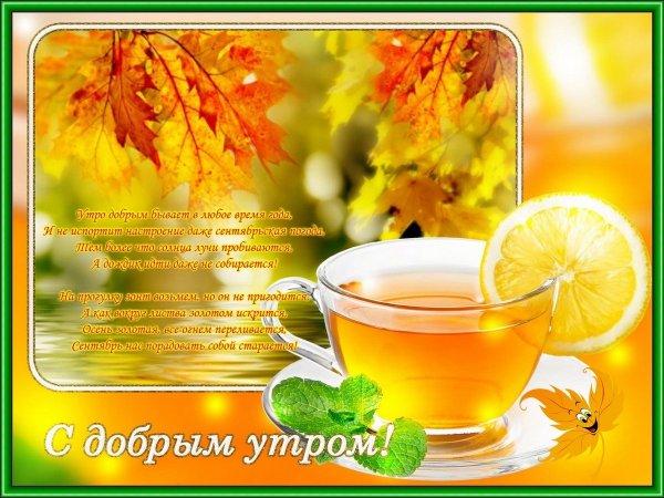 Прогулка под дождем летом