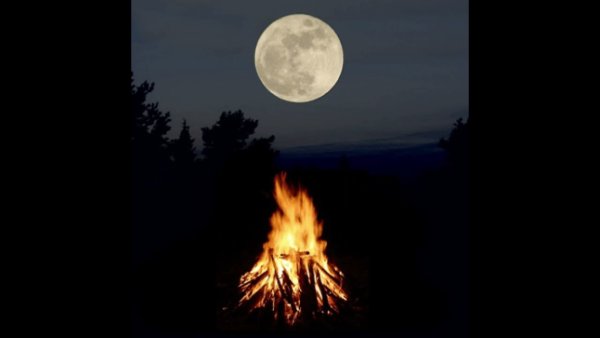 Костер в лесу иллюстрация