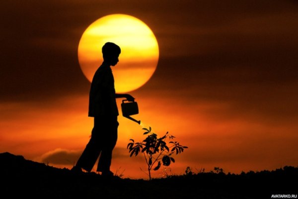 Мужской силуэт на фоне заката