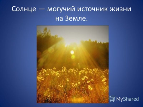 Солнце источник жизни на земле