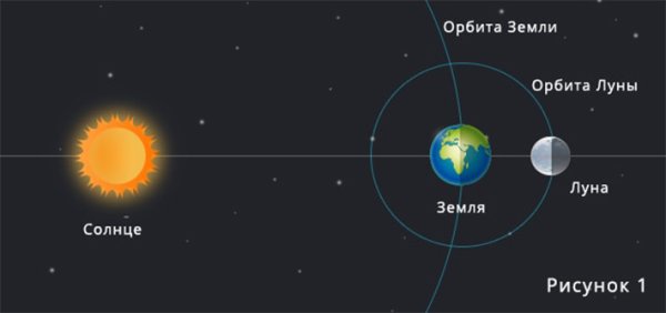 Схема относительного положения солнца земли и Луны в новолуние