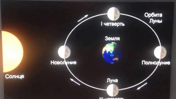 Схема образования лунного затмения