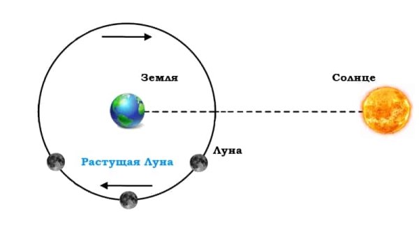 Схема возникновения полного лунного затмения
