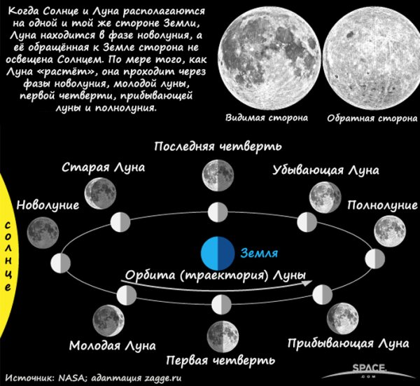 Луна по отношению к земле и солнцу