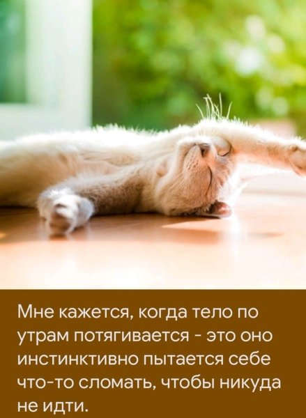 Части суток