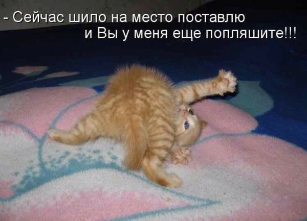 Солнце встает