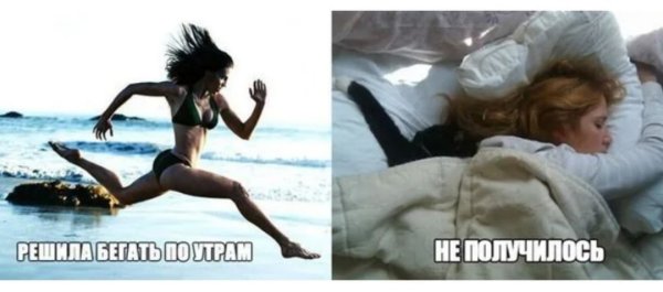 Солнце встало день настал