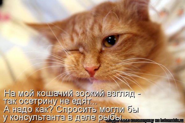 Просыпайся солнышко