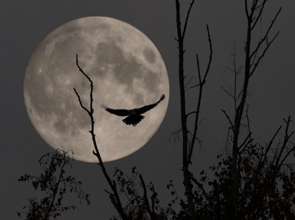 Страшное полнолуние