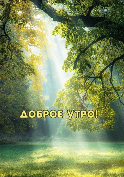 Восход в лесу
