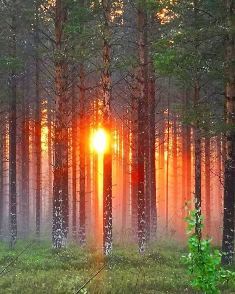 Солнце пейзаж