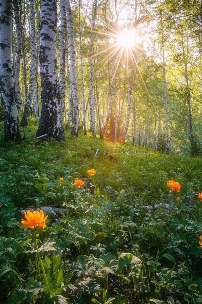 Осень солнце