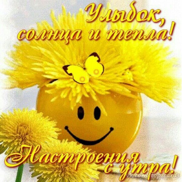 Доброе утро и отличного настроения