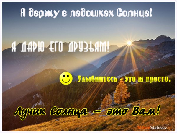 Солнечный день цитаты