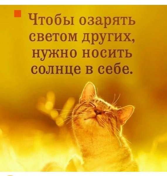 Позитивные фразы