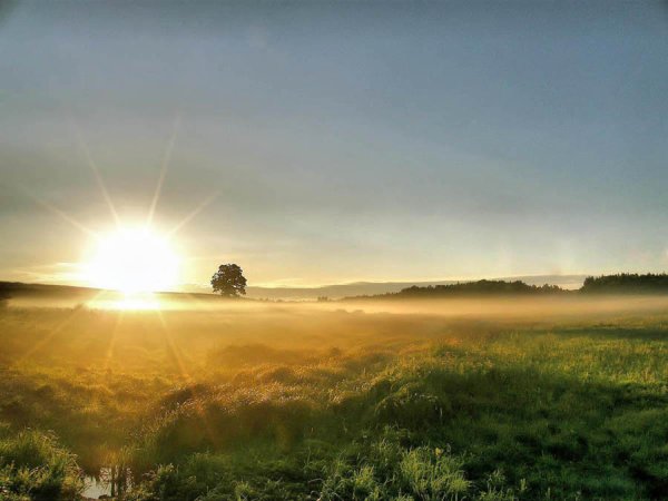 Солнце на горизонте