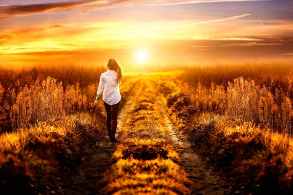 Рисунки на холсте альтруизм