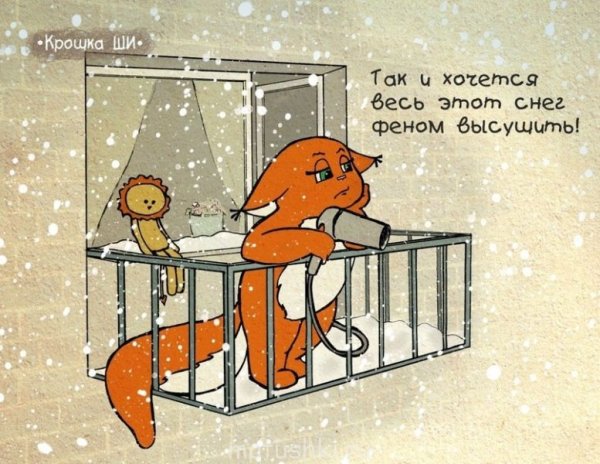 Кот за окном в снегу