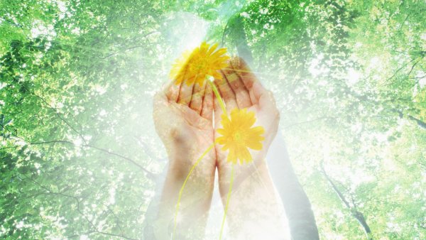 Здравствуй солнце