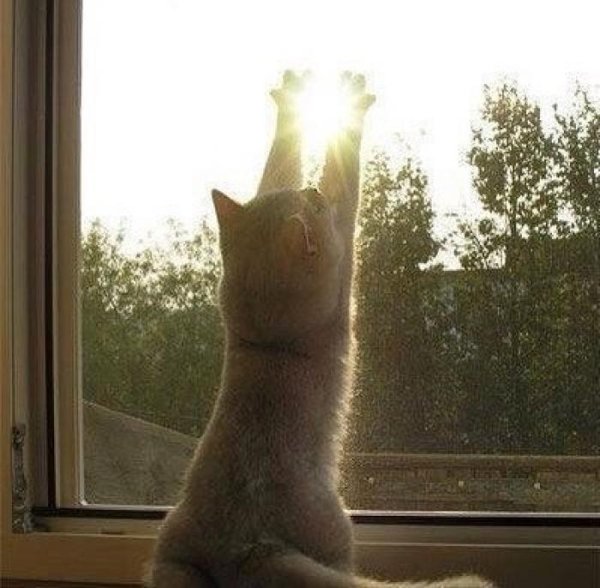 Хочется лета цитаты