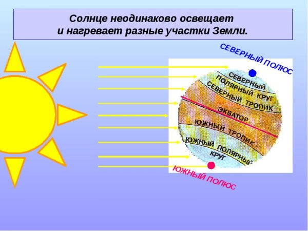 Вода почва свет тепло