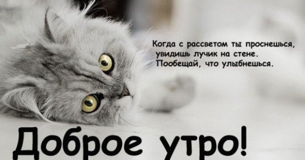 Открытки хорошего дня любимый