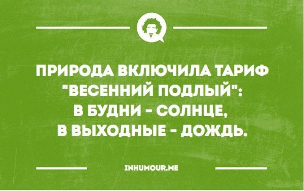 Дождливые выходные приколы
