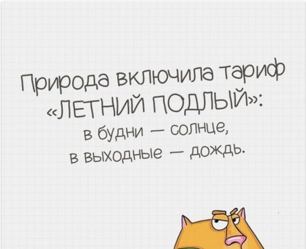 Дождь в выходной