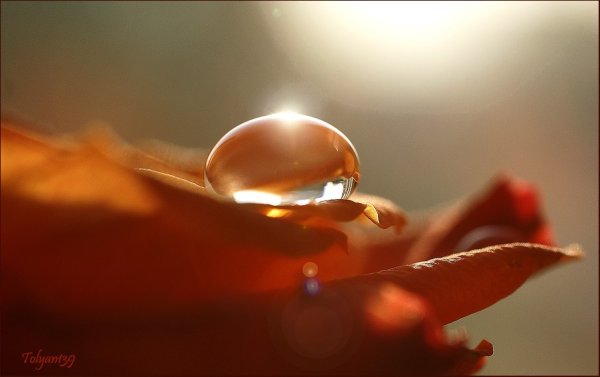 Красивая свободная женщина