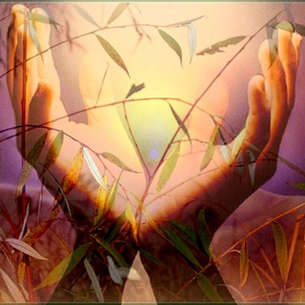 Счастье солнце