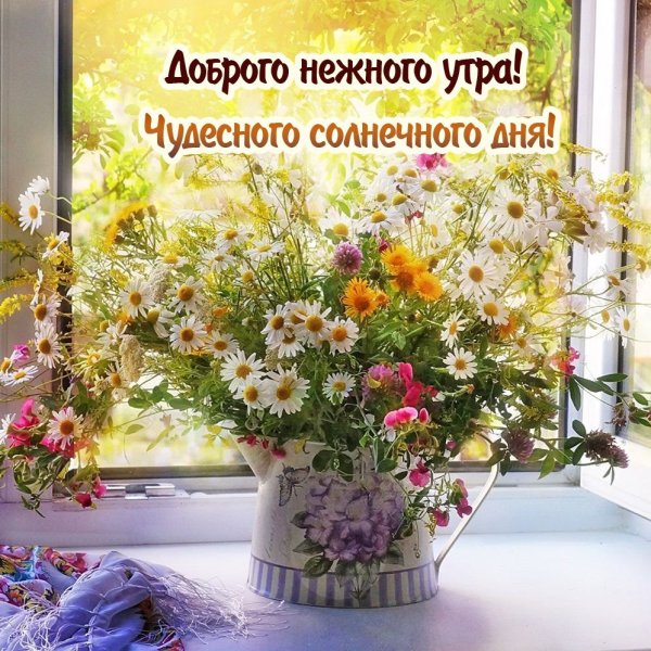 Утренняя нежность