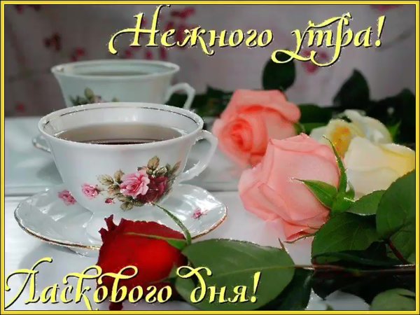 Открытки нежного утра