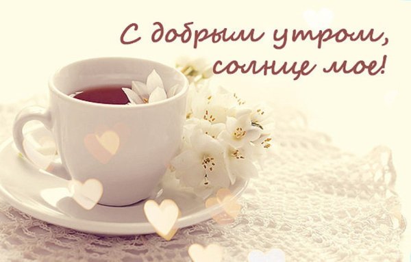 Солнечное утро цветы кофе