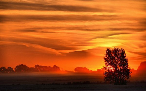 Багряный рассвет