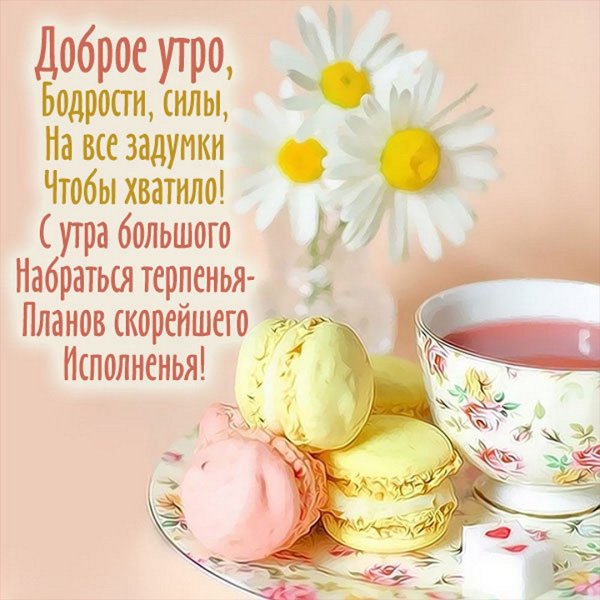 Летнее утро