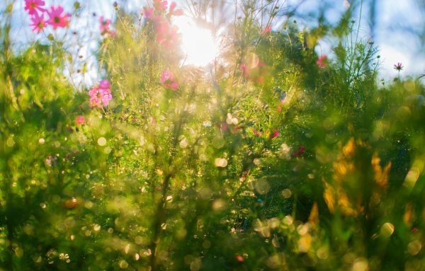 Красивый рассвет